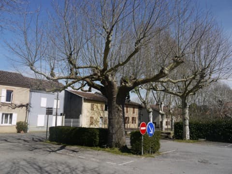 Peintre Anan