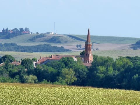 Peintre Auragne