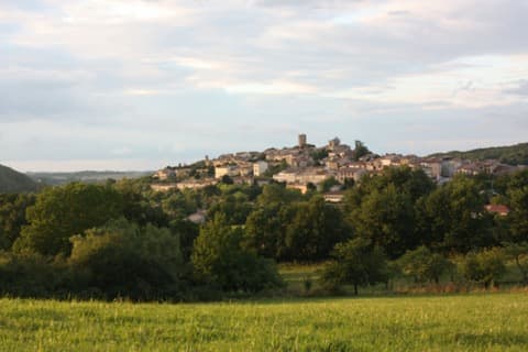 Peintre Aurignac