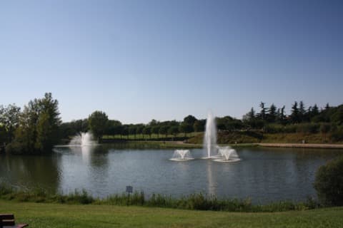 Peintre Blagnac