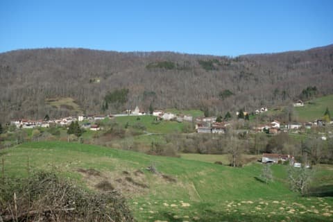 Peintre Fougaron