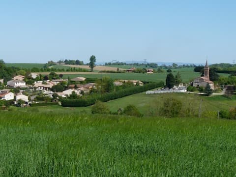 Peintre Gauré