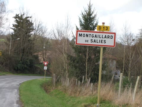 Peintre Montgaillard-de-Salies