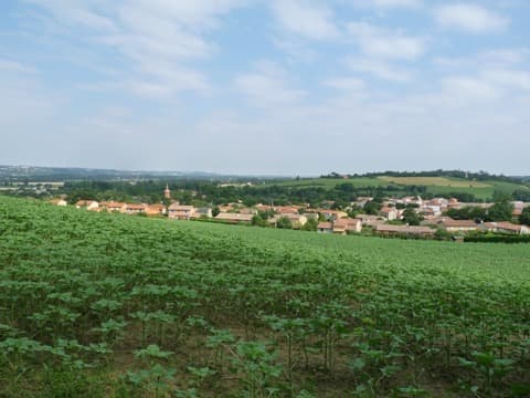 Peintre Montlaur