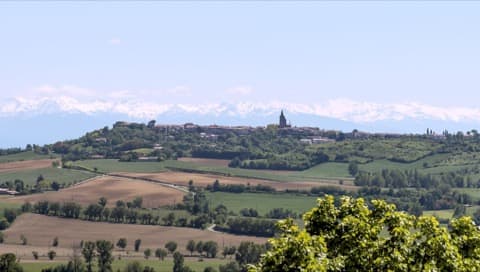Peintre Saint-Félix-Lauragais