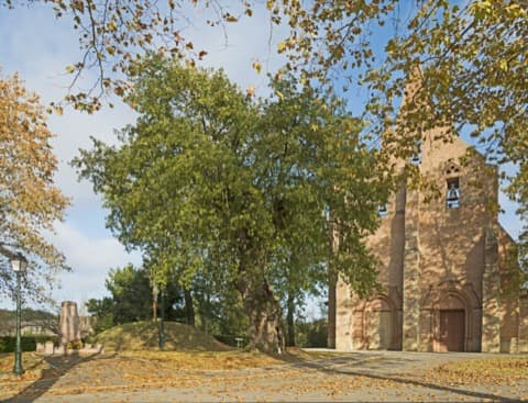 Peintre Villariès